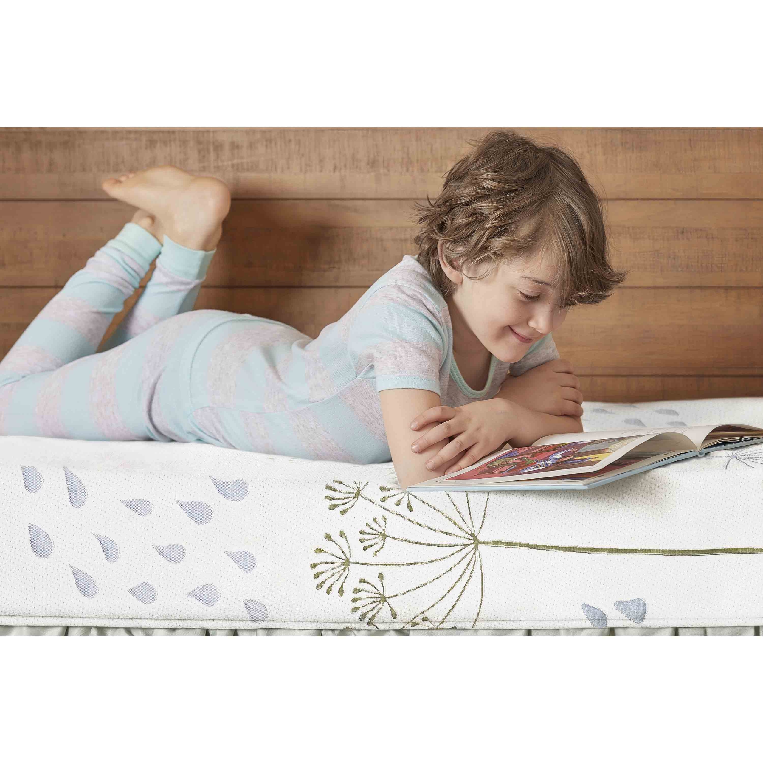 6E6WL-FLOWER_CloseUp_RmScene 6E6WL-FLOWER_CloseUp_RmScene