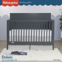 Fisher Price Delani 5 in 1 Convertible Crib