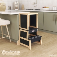 Fisher Price Wonderstep Step Stool
